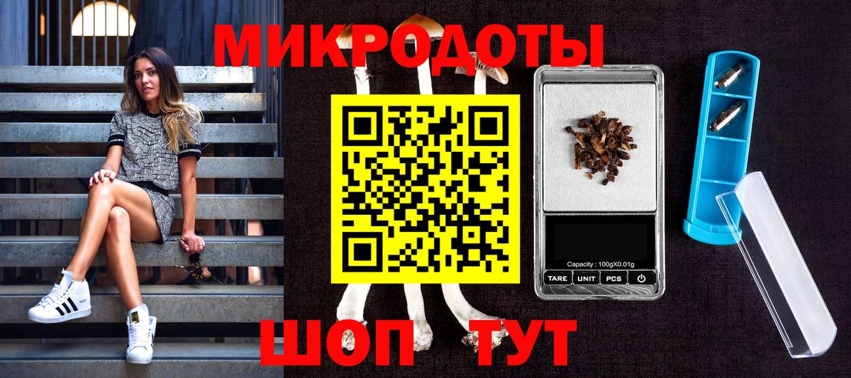 Галлюциногенные грибы Magic Shrooms Рязань